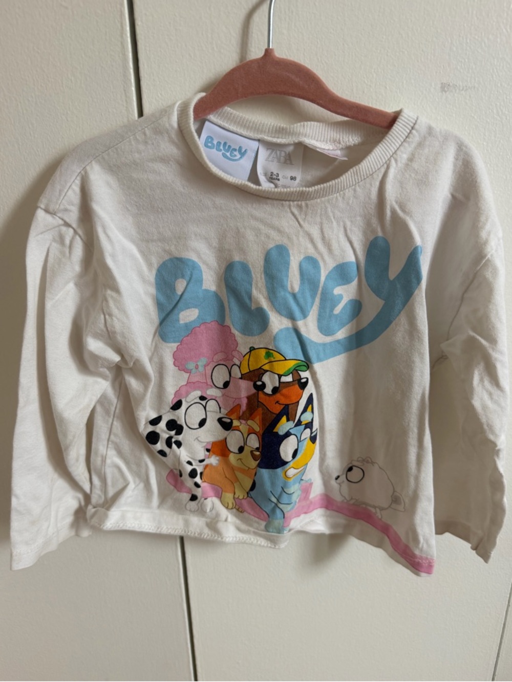 Zara Cream Bluey Graphic Long Sleeve Tee with Multicolor Characters